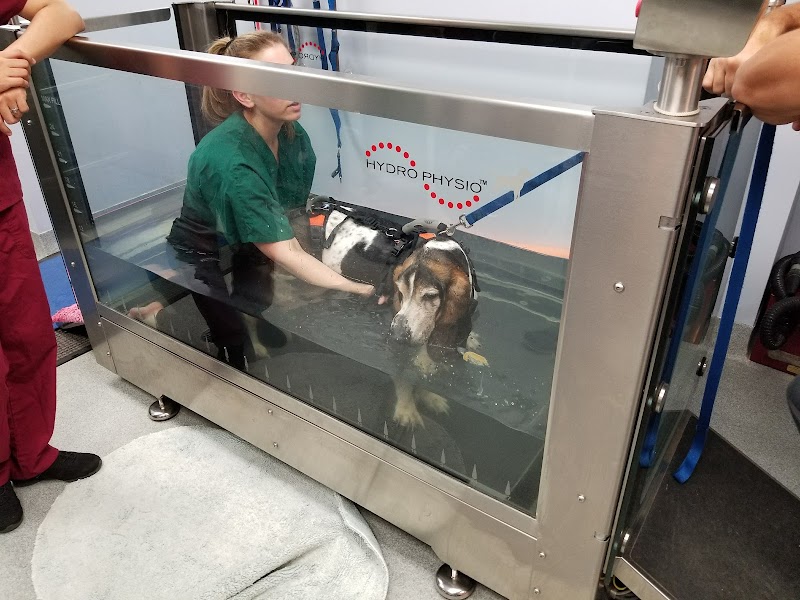 CANINE REHAB of NEW YORK