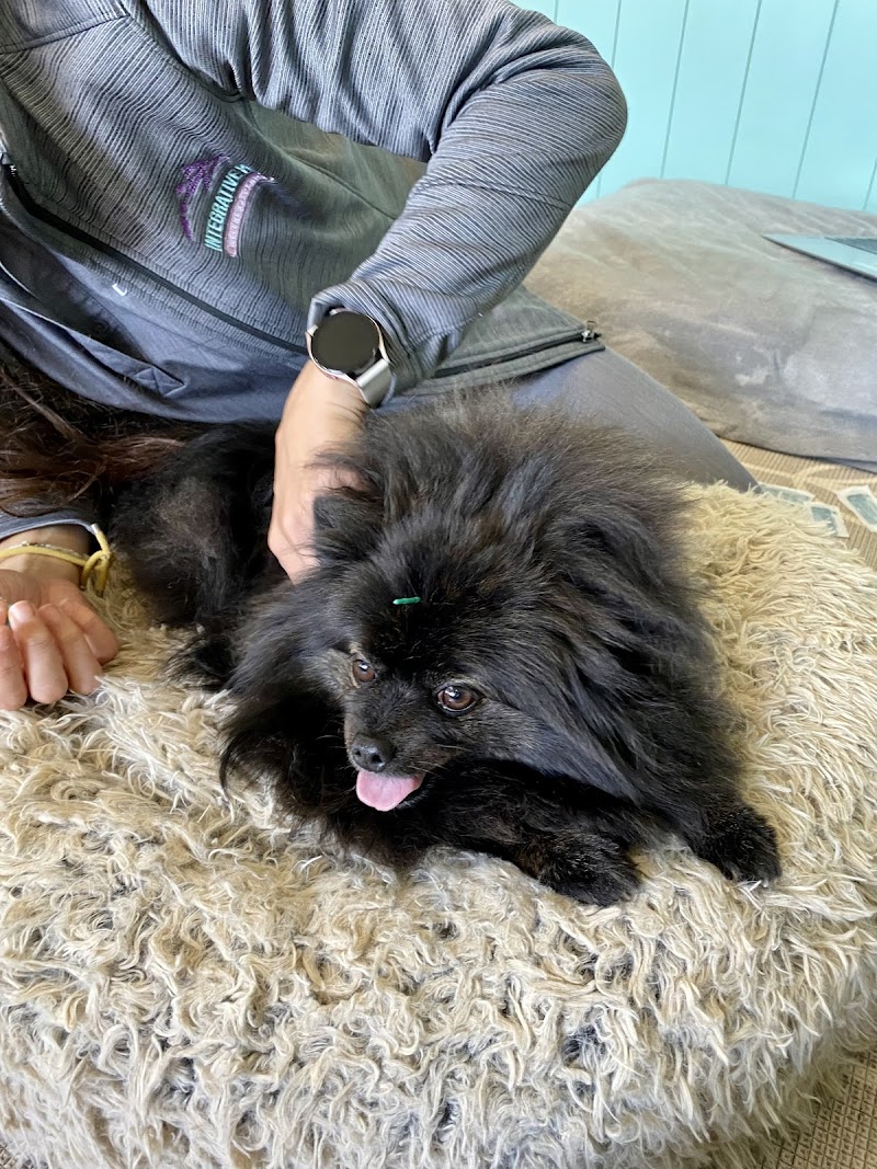 Integrative Pet Wellness Center