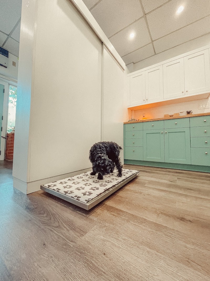 Integrative Pet Wellness Center