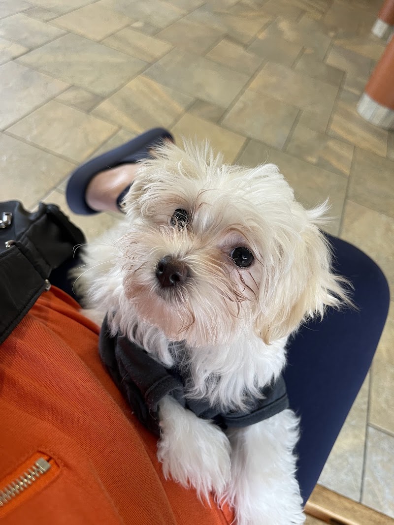 Butterfield Animal Hospital