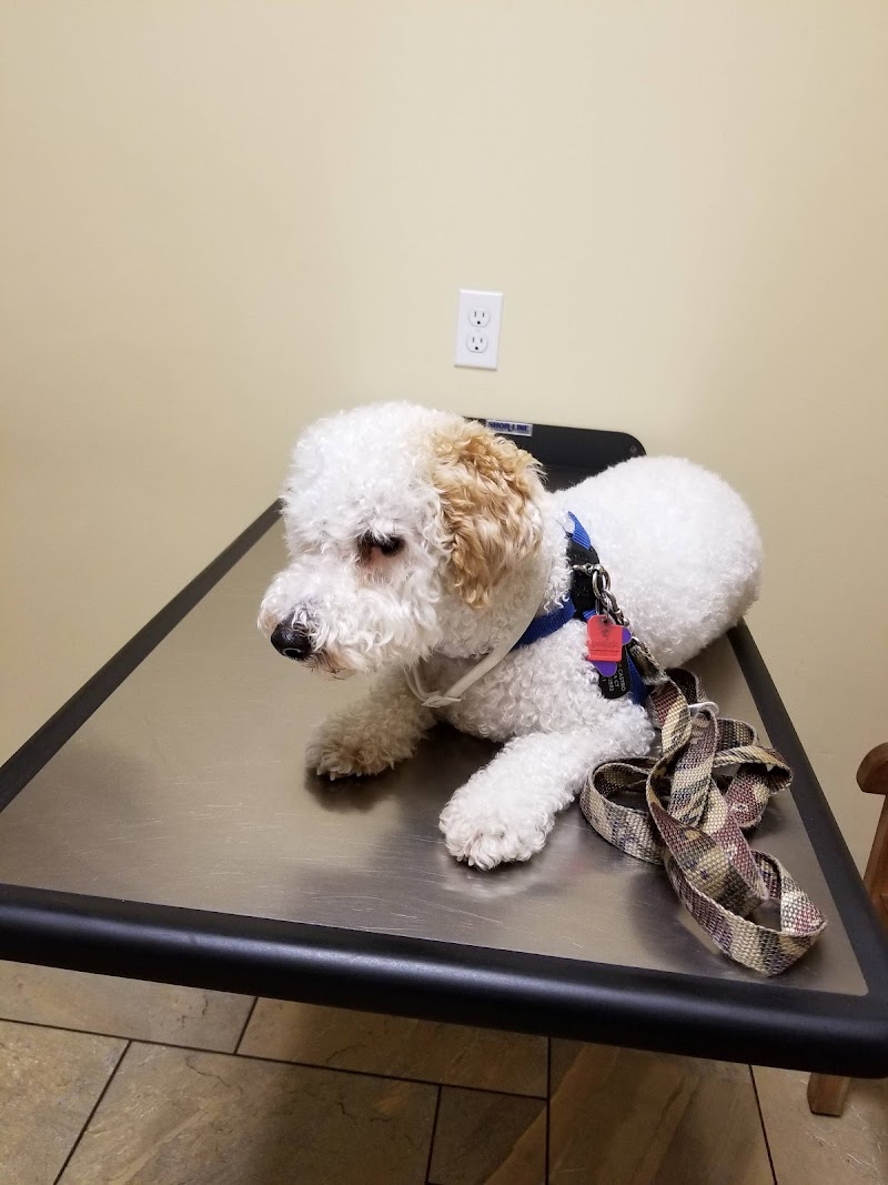 Butterfield Animal Hospital