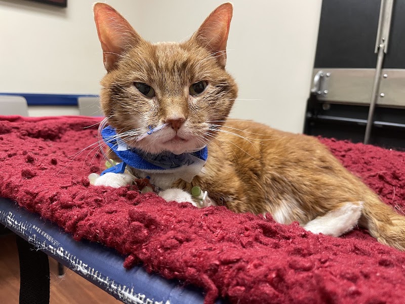 Cumberland Animal Clinic