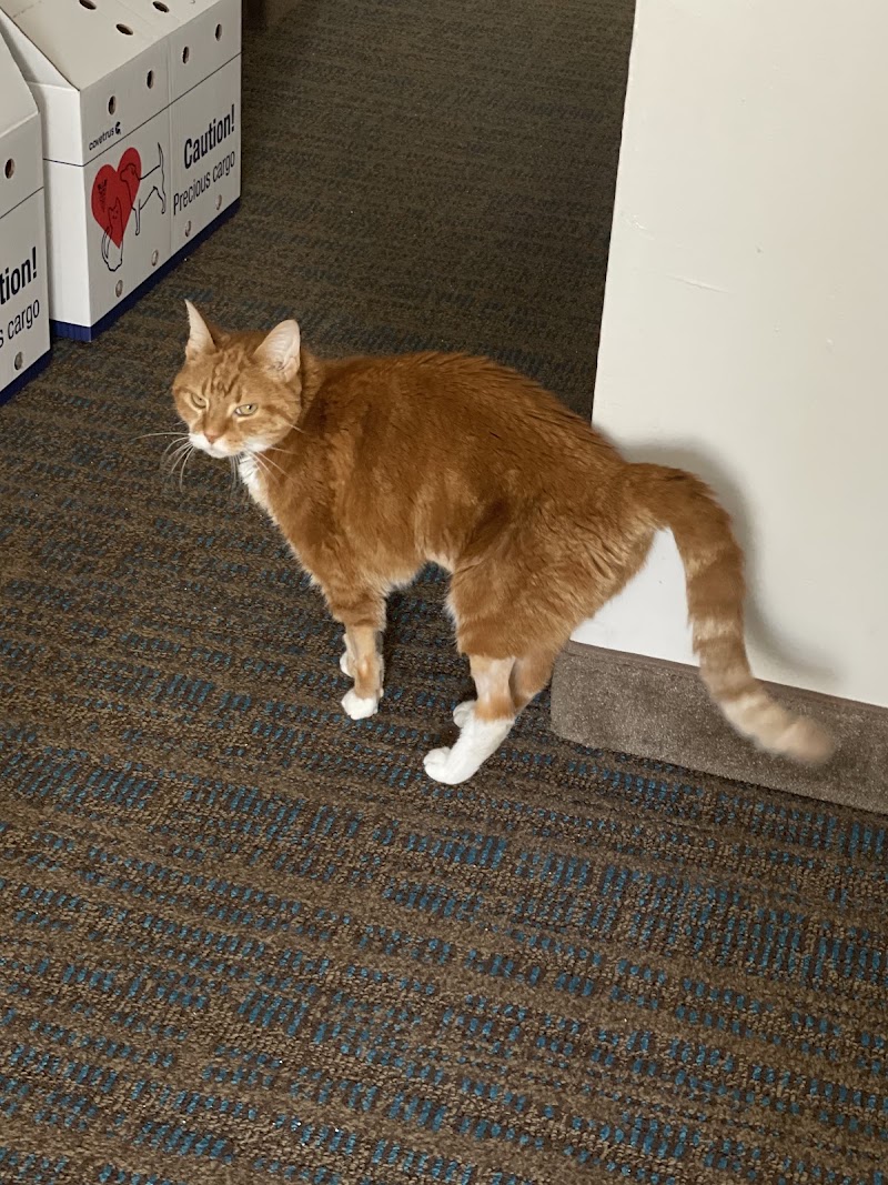 Cumberland Animal Clinic