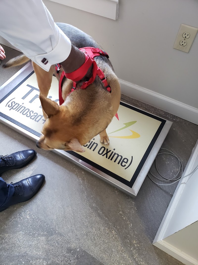 Cumberland Animal Clinic