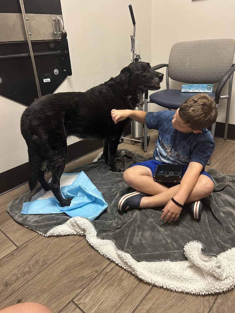 MissionVet Specialty & Emergency