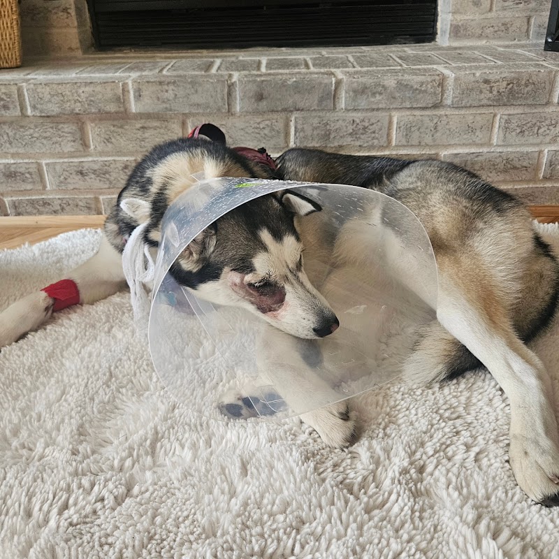 Columbia River Veterinary Specialists