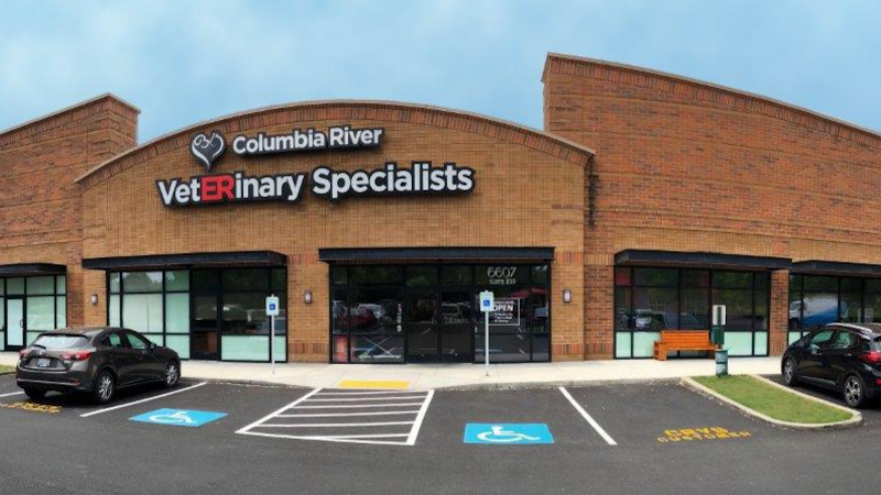 Columbia River Veterinary Specialists - Vancouver