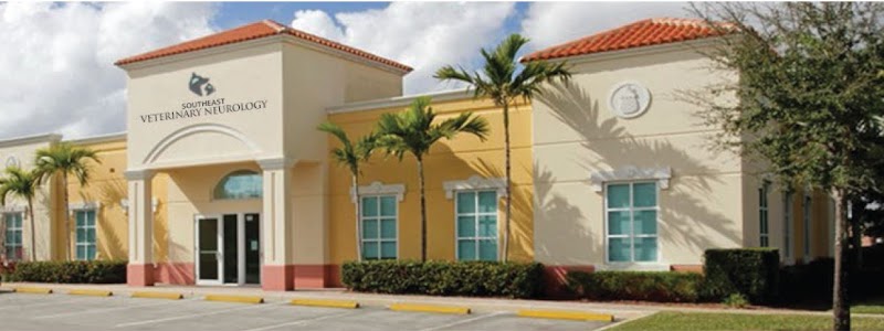 Southeast Veterinary Neurology