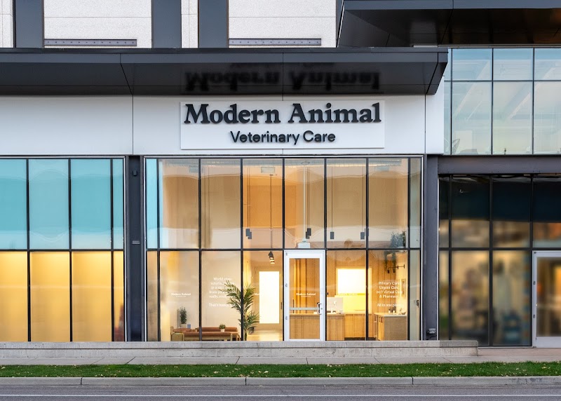 Modern Animal Cherry Creek
