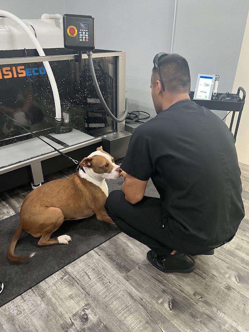 The Melrose Vet