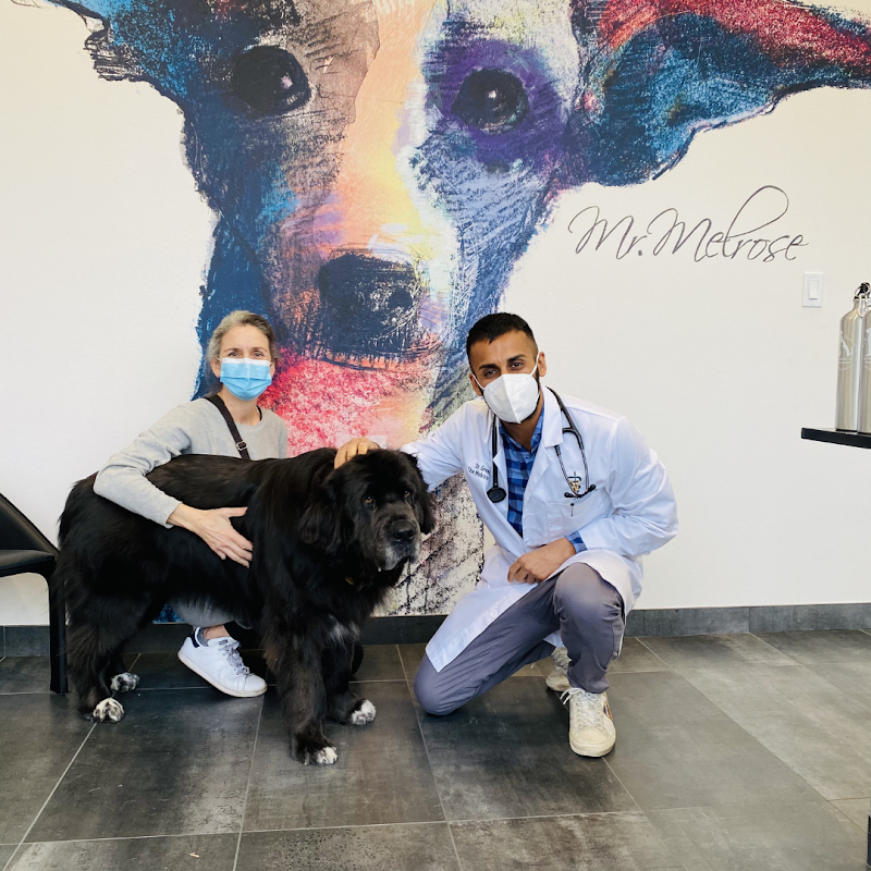 The Melrose Vet