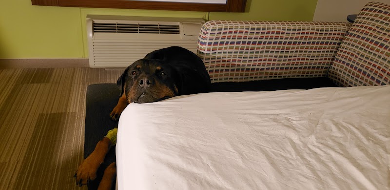 PetCure Oncology Dallas Fort Worth - Advanced Cancer Treatments for Cats & Dogs