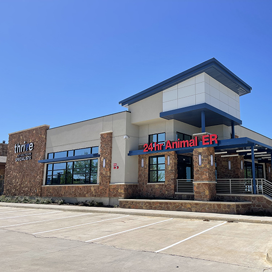 PetCure Oncology Dallas Fort Worth - Advanced Cancer Treatments for Cats & Dogs
