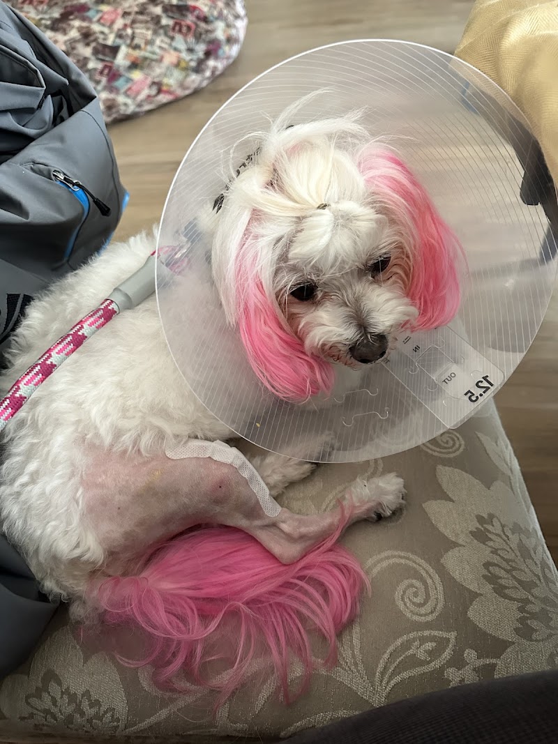 Northlake Veterinary Surgery