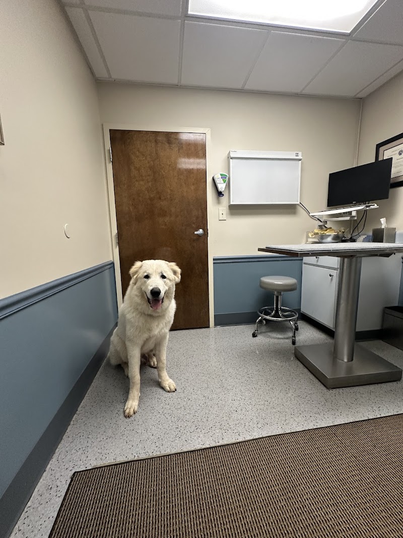 Northlake Veterinary Surgery