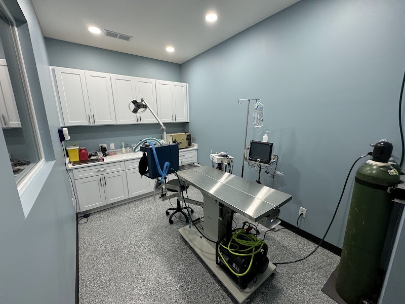 Lucy’s Veterinary Care