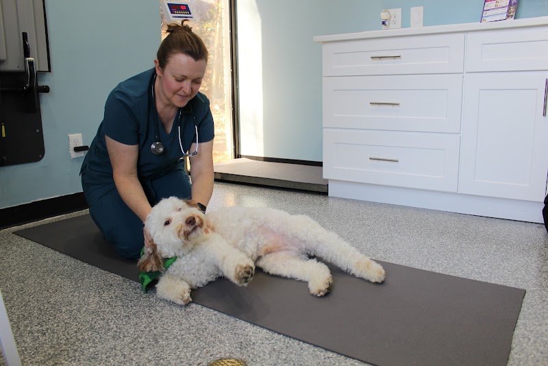 Lucy’s Veterinary Care
