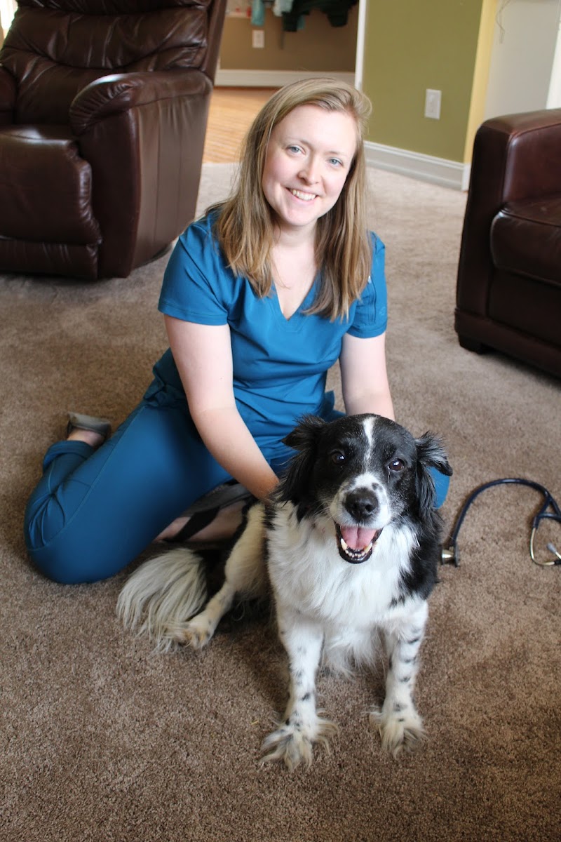 Lucy’s Veterinary Care