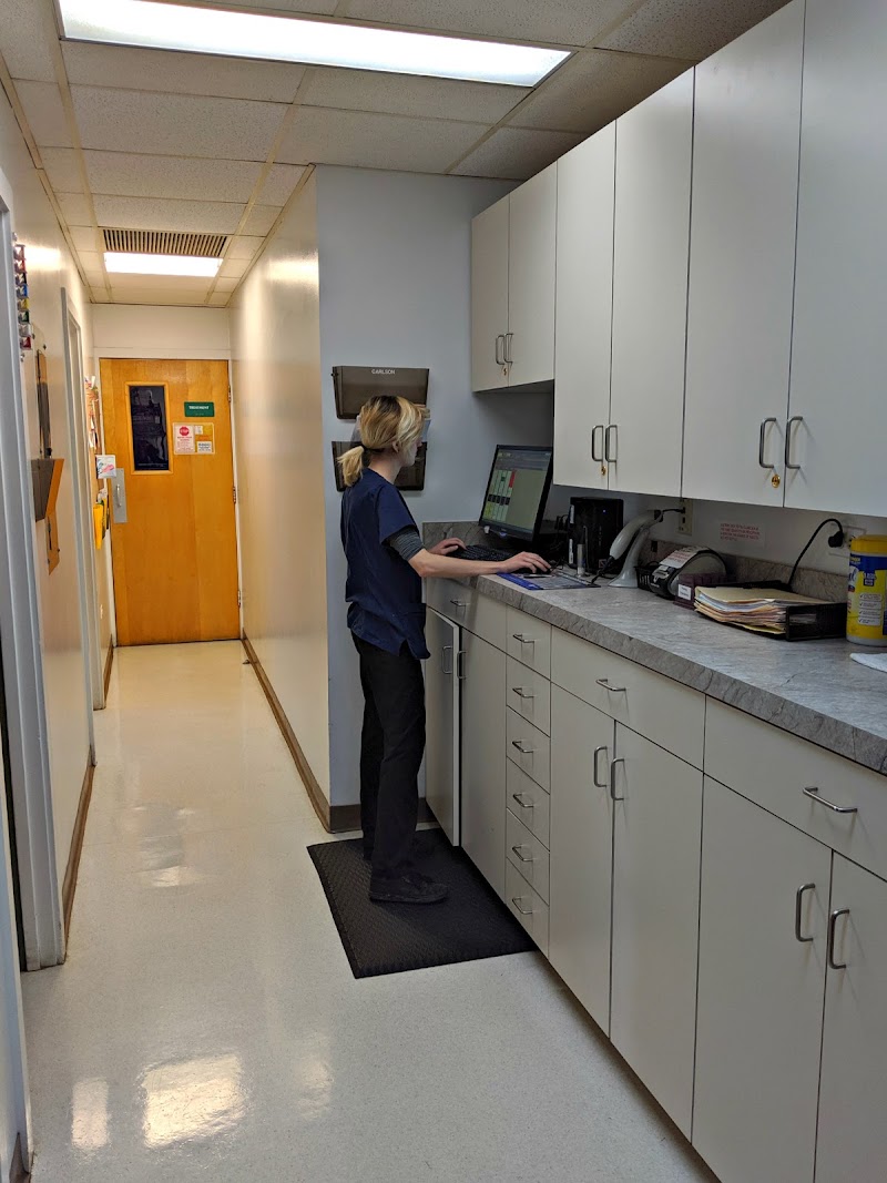 Carlson Animal Hospital, A Thrive Pet Healthcare Partner