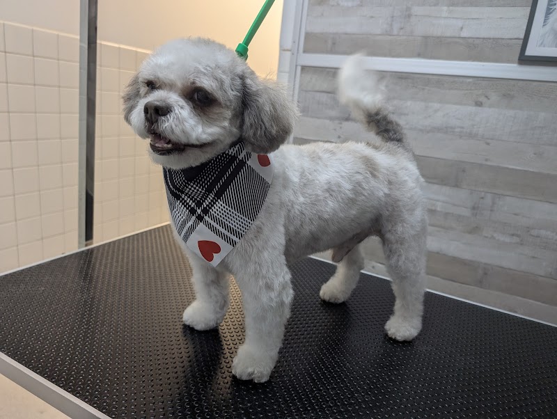 Carlson Animal Hospital, A Thrive Pet Healthcare Partner