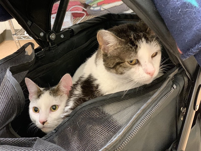 PAWS Spay/Neuter and Wellness Clinic