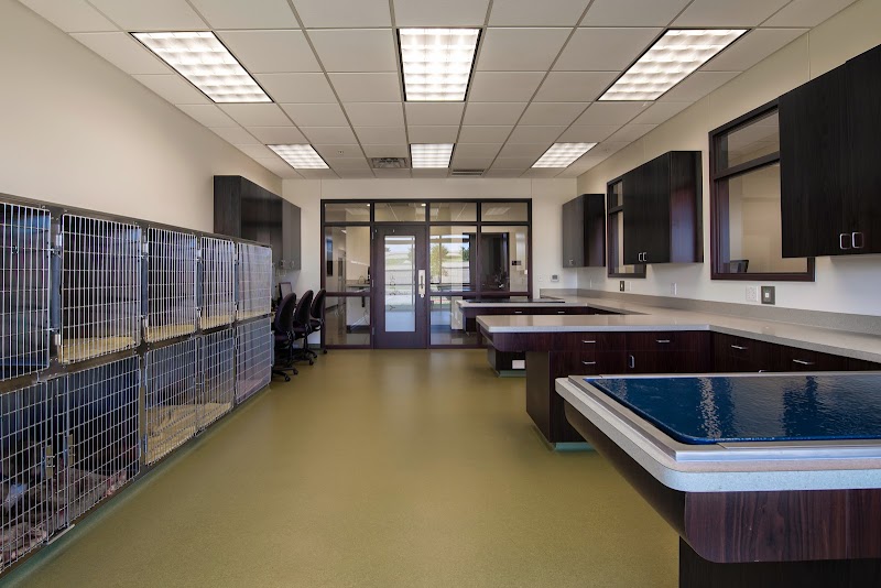 BluePearl Pet Hospital