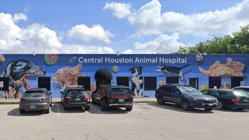 Central Houston Animal Hospital