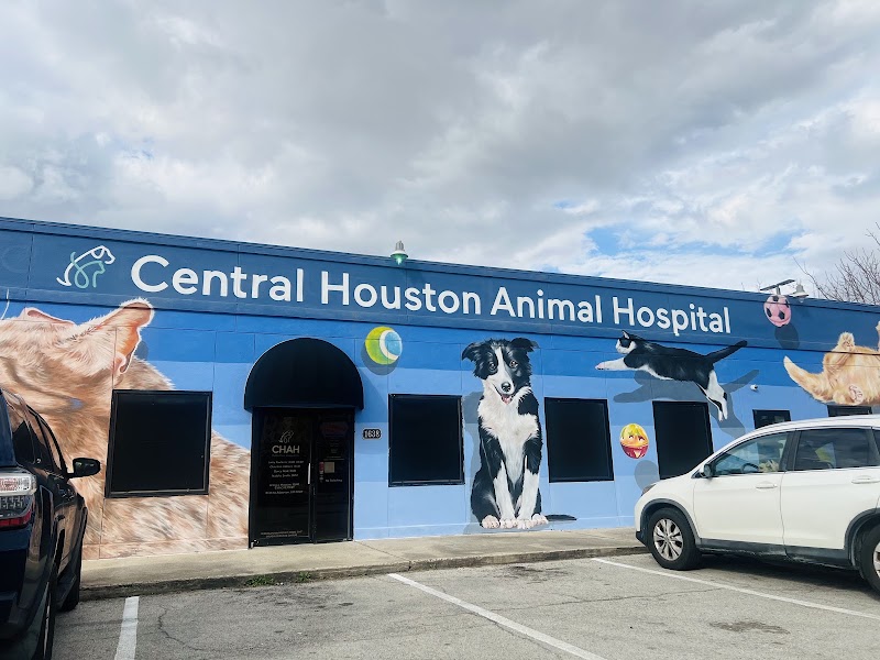 Central Houston Animal Hospital