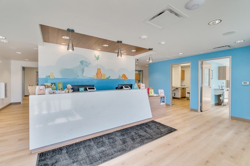 VetCare Animal Hospital