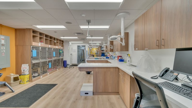 VetCare Animal Hospital - Denver