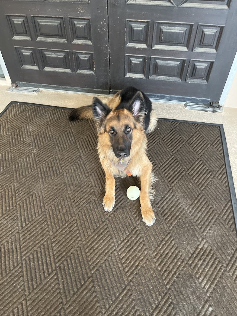 VetCare Animal Hospital