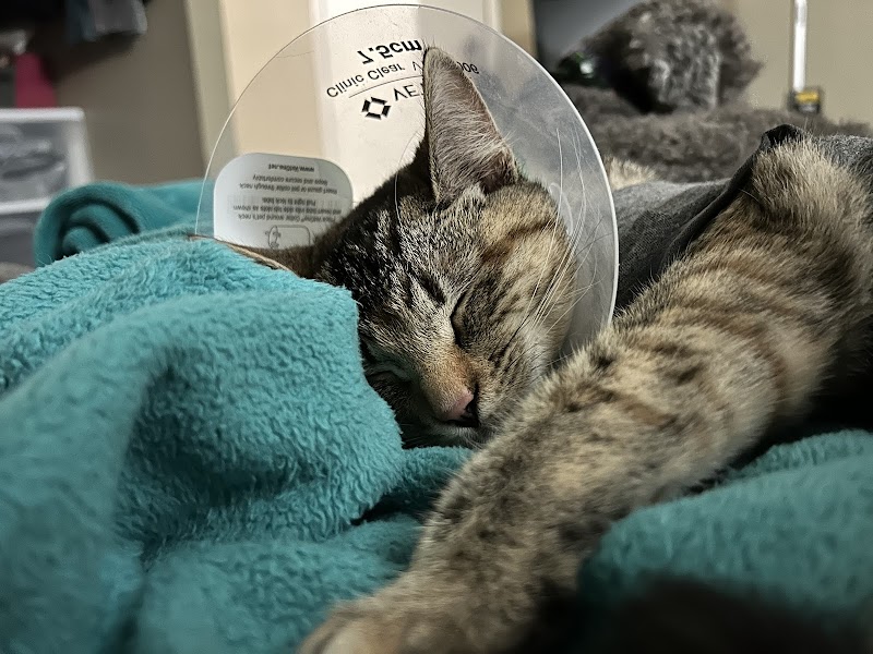 San Diego Veterinary Urgent Care