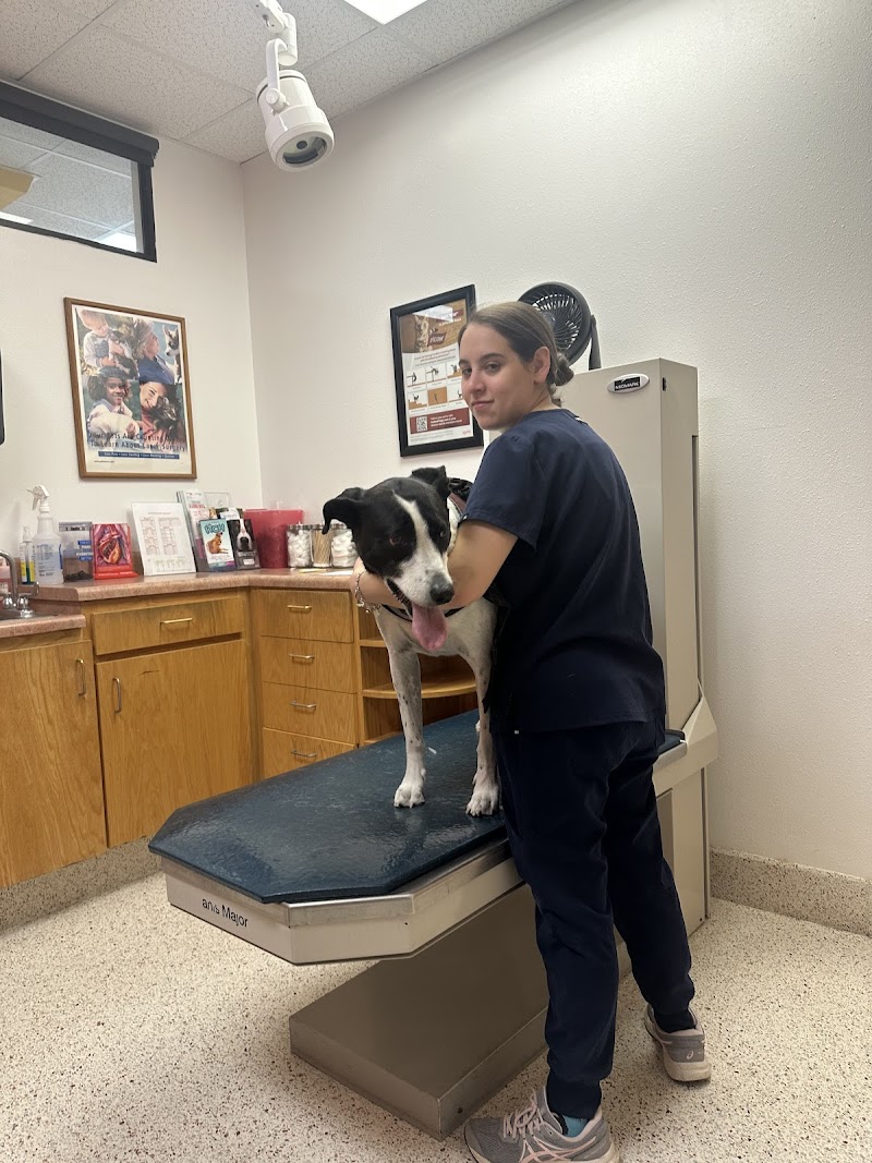 Kitty Hawk Animal Hospital