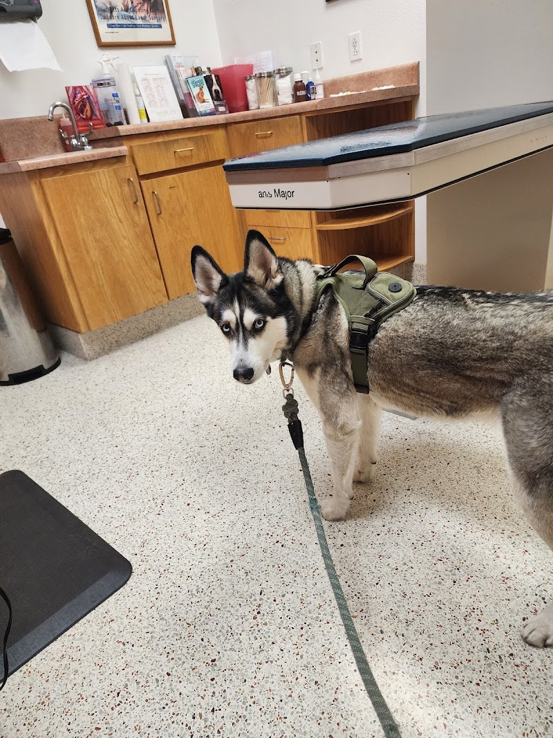 Kitty Hawk Animal Hospital