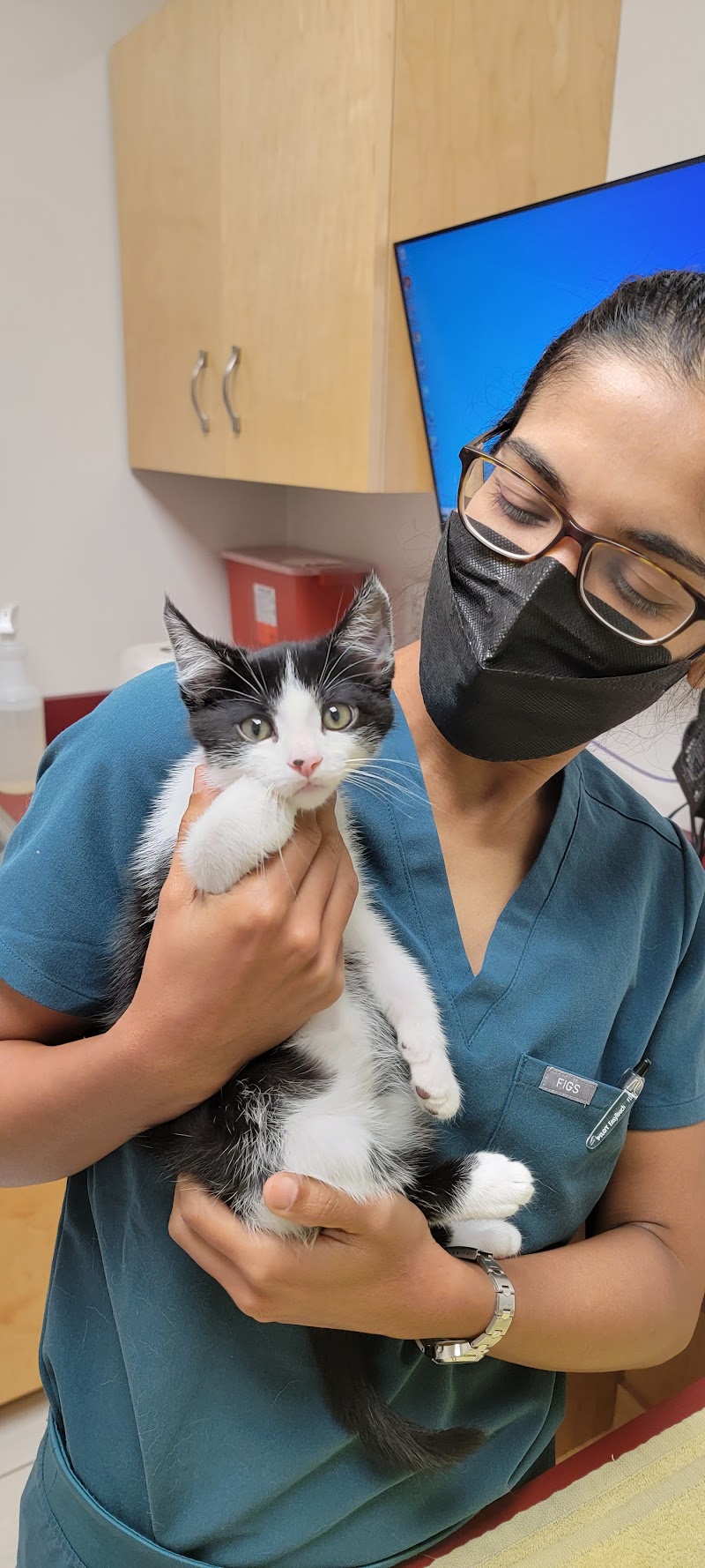 Ocean Ave Veterinary Hospital: Aulakh Parminder DVM