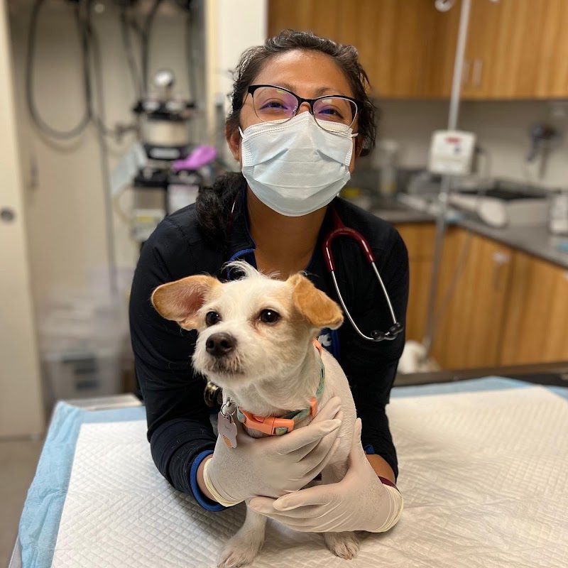 VCA Veterinary Specialists of the Valley