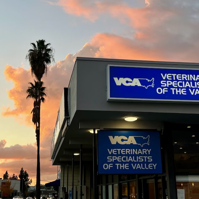 VCA Veterinary Specialists of the Valley