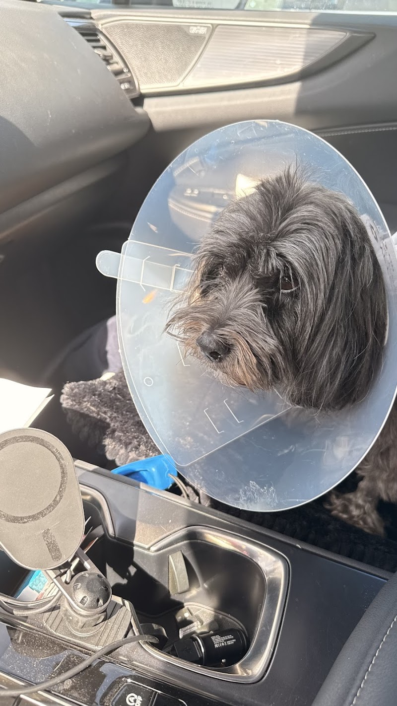 VCA Veterinary Specialists of the Valley