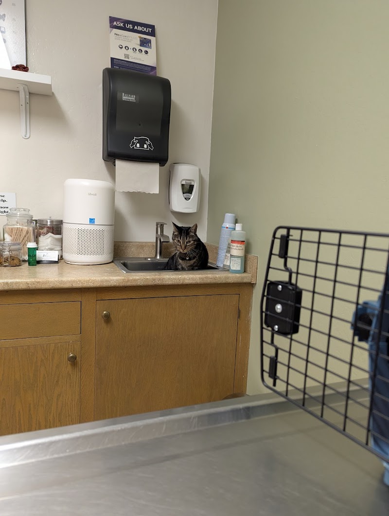 DeAnza Veterinary Clinic