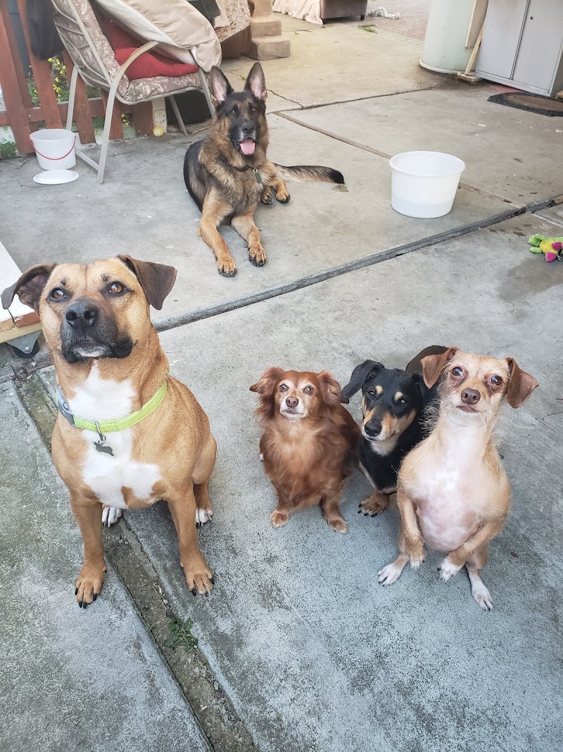 DeAnza Veterinary Clinic