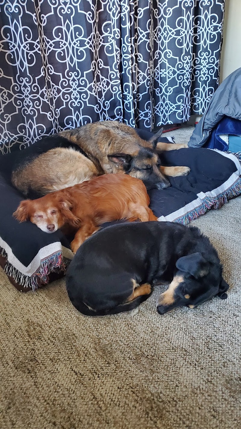 DeAnza Veterinary Clinic