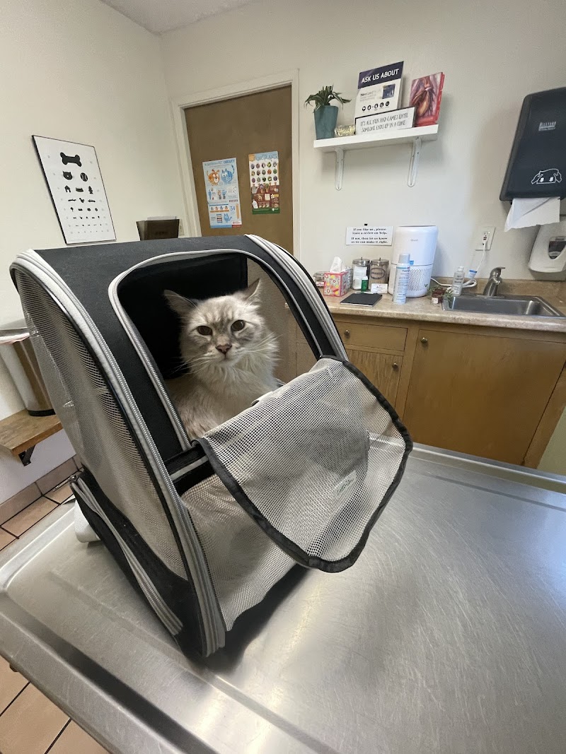 DeAnza Veterinary Clinic