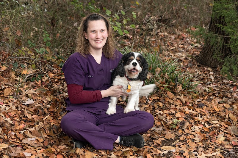 Compass Veterinary Neurology & Imaging