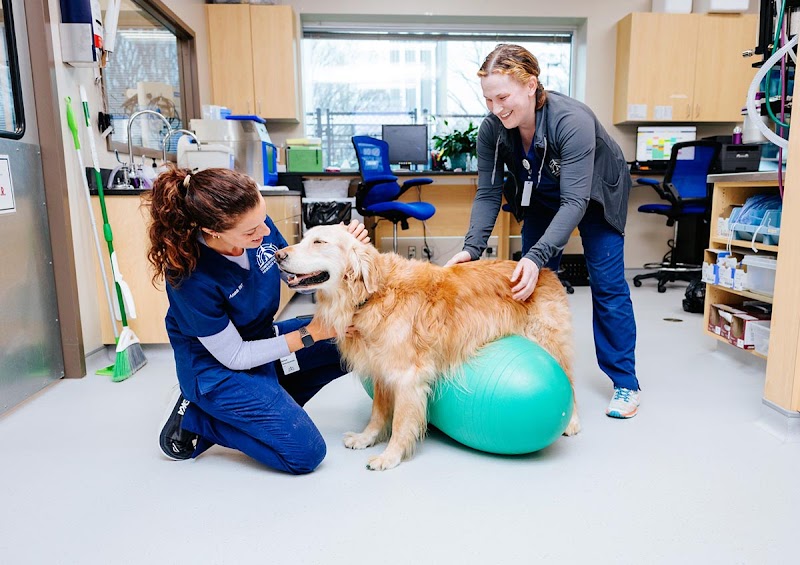 Compass Veterinary Neurology & Imaging