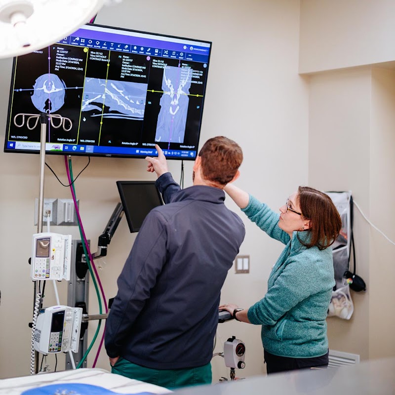 Compass Veterinary Neurology & Imaging
