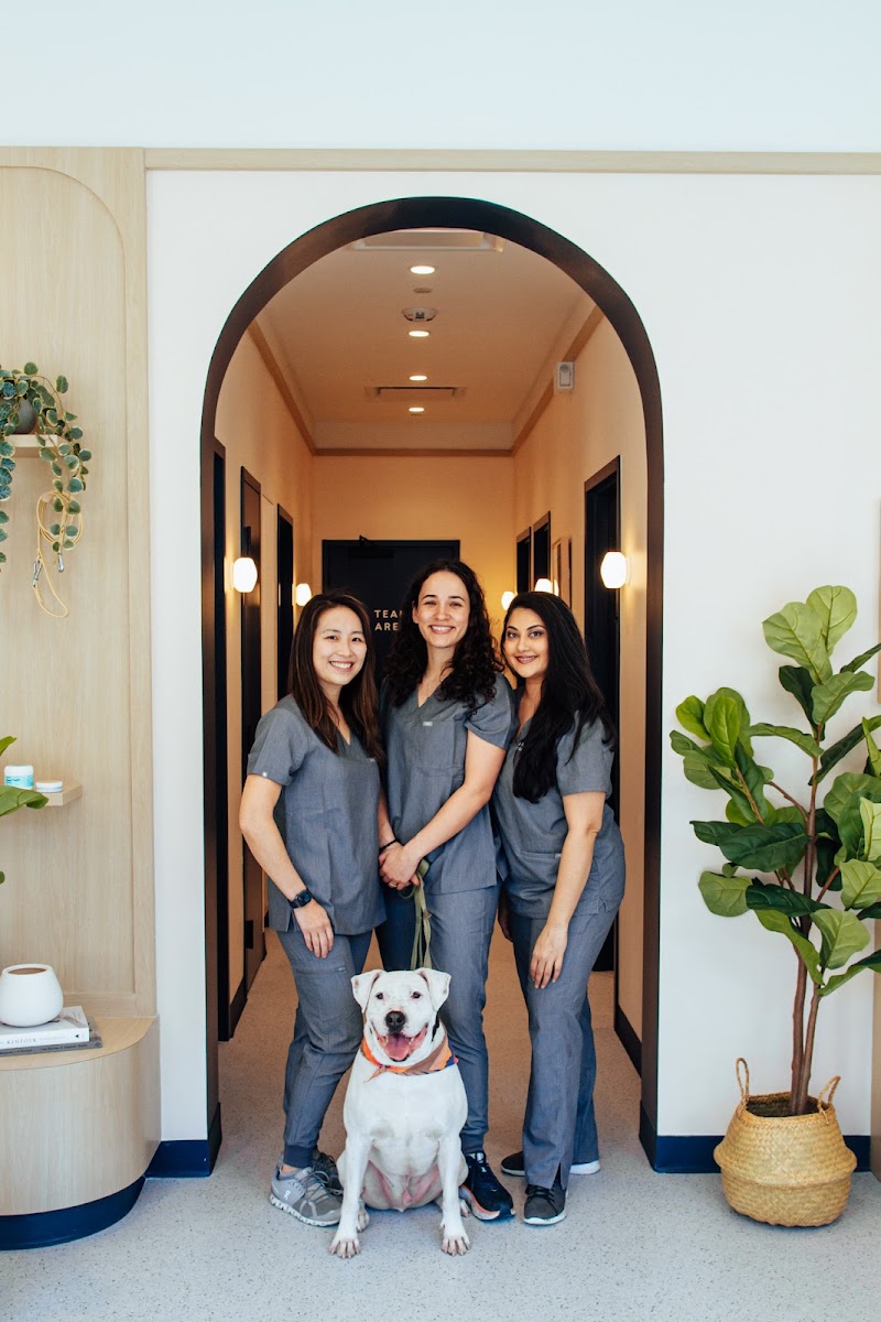 Bond Vet - Astoria