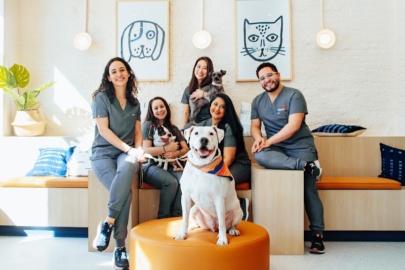 Bond Vet - Astoria