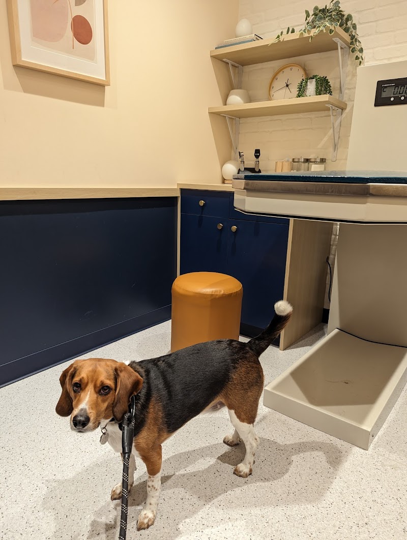 Bond Vet - Astoria