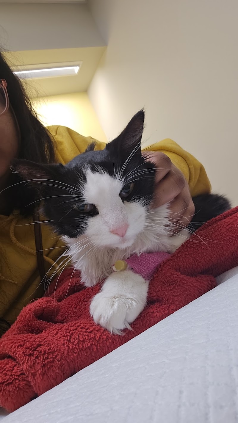 OakVet Animal Specialty Hospital