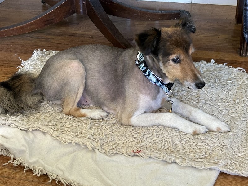 Boyd Lake Veterinary Center